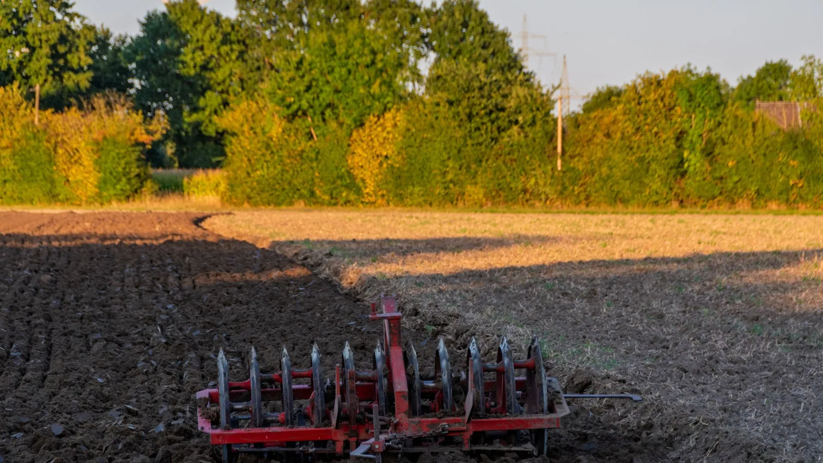 Herse aux dents d'acier attelée au bord d'un champ fraîchement travaillé