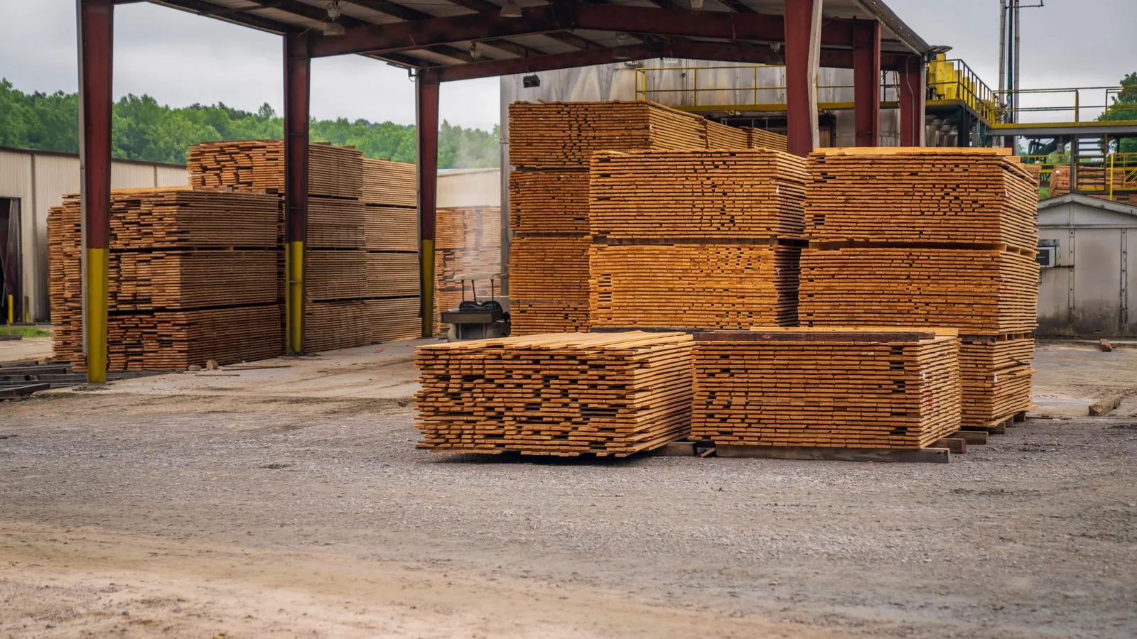 Paquets de planches de bois brut empilés sous un hangar de scierie, avant transformation en emballages