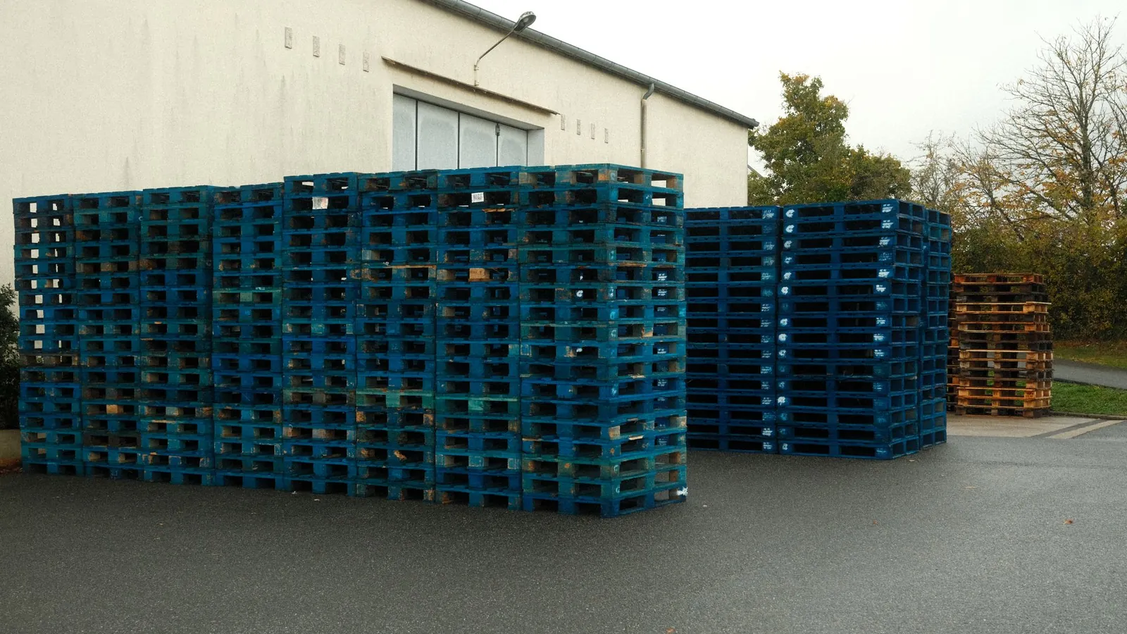 Piles de palettes en bois peintes en bleu stockées devant un bâtiment industriel