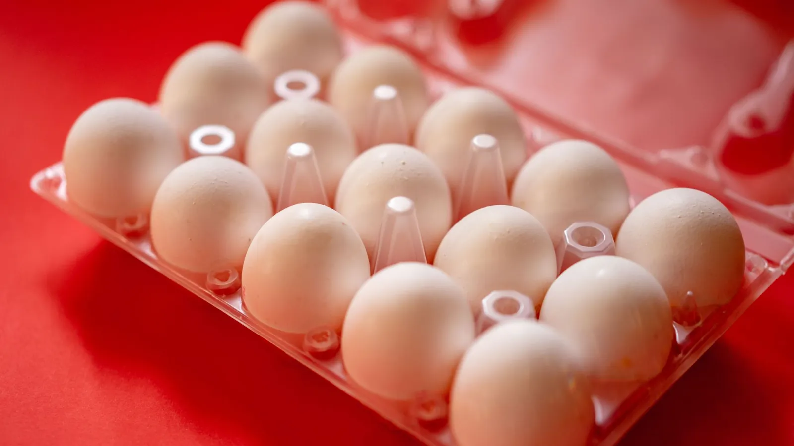 Œufs rangés dans une boîte en plastique transparent thermoformée à alvéoles